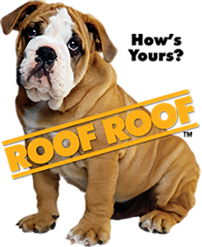 Roofing Industry